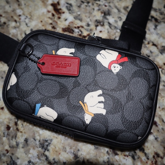 Coach Cross Body Bag - Picture 3 of 9